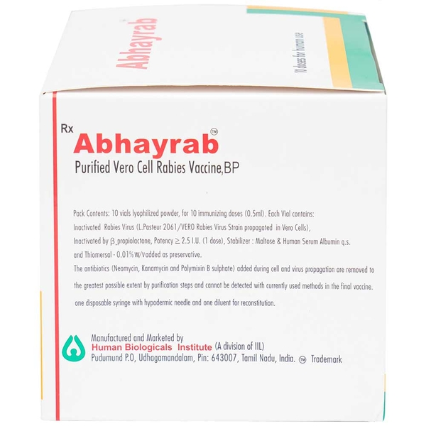 Abhayrab (TB) - Abhayrab (TB)4