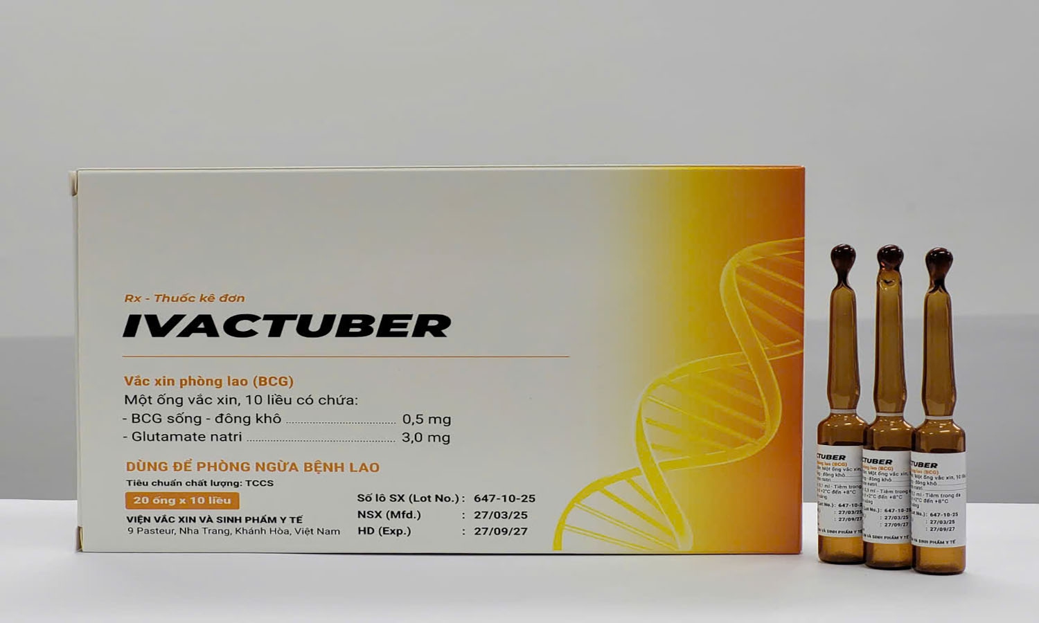 BCG/Ivactuber - BCG:Ivactuber1