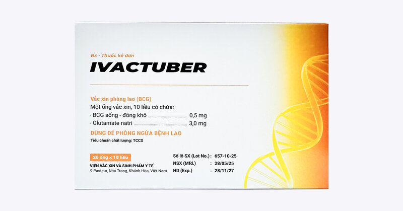 BCG/Ivactuber - BCG:Ivactuber2